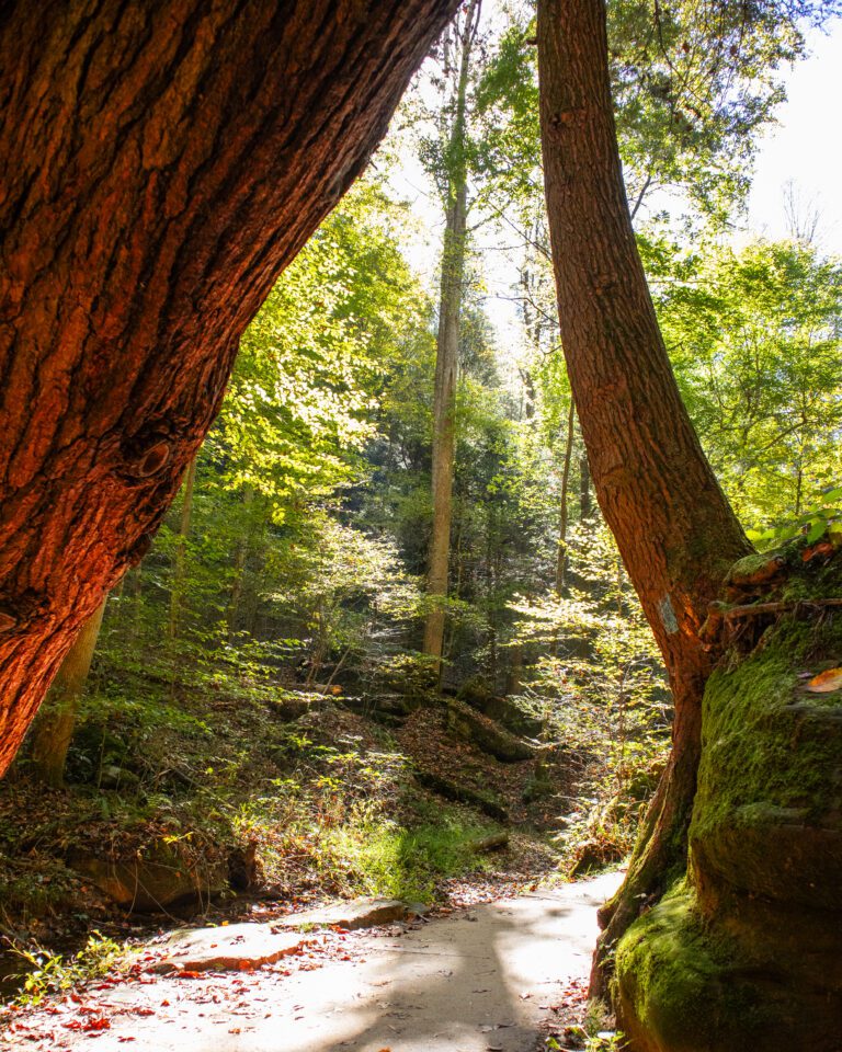 Convenient Location to Hocking Hills State Park - Ash Cave