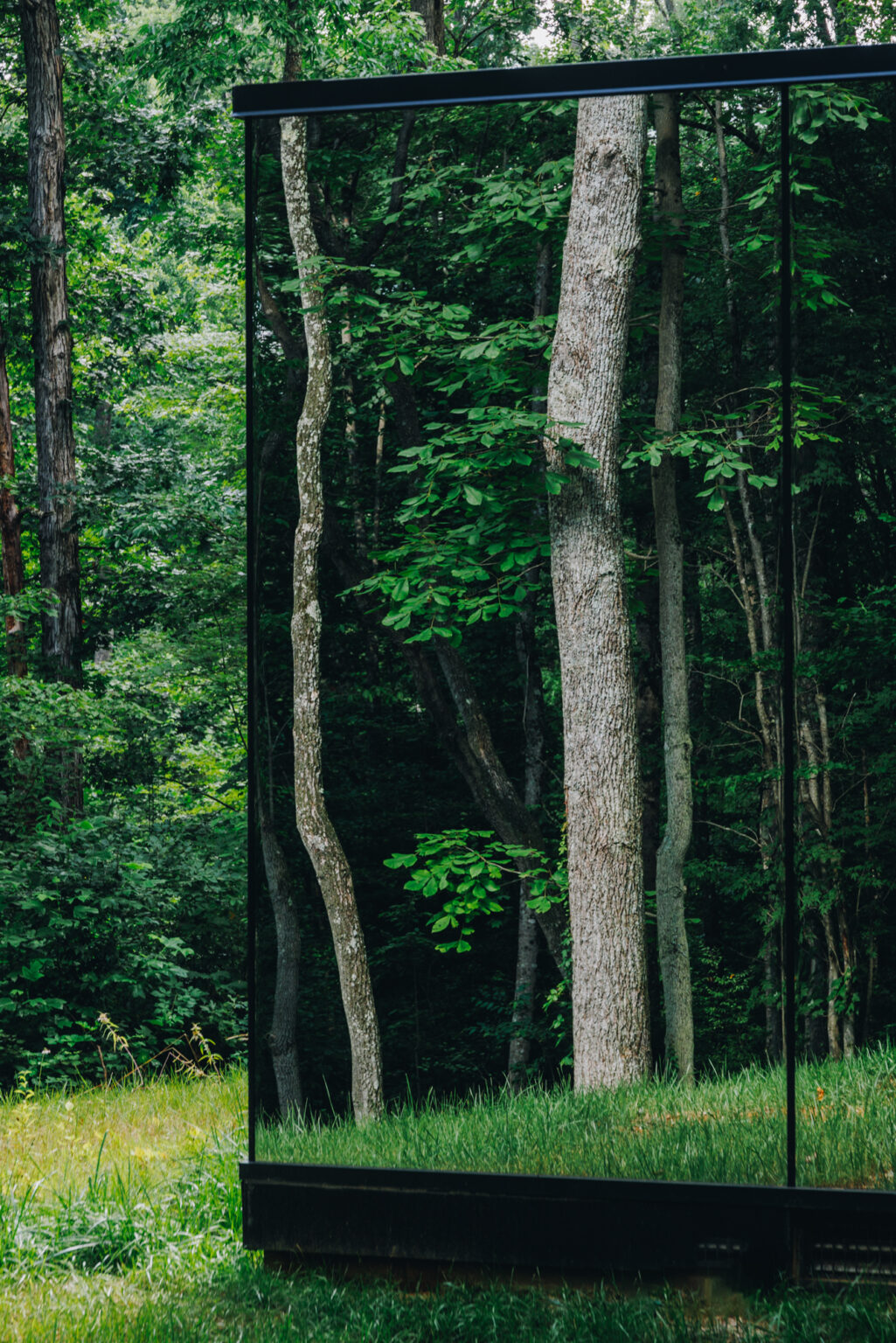 Blending nature and hospitality