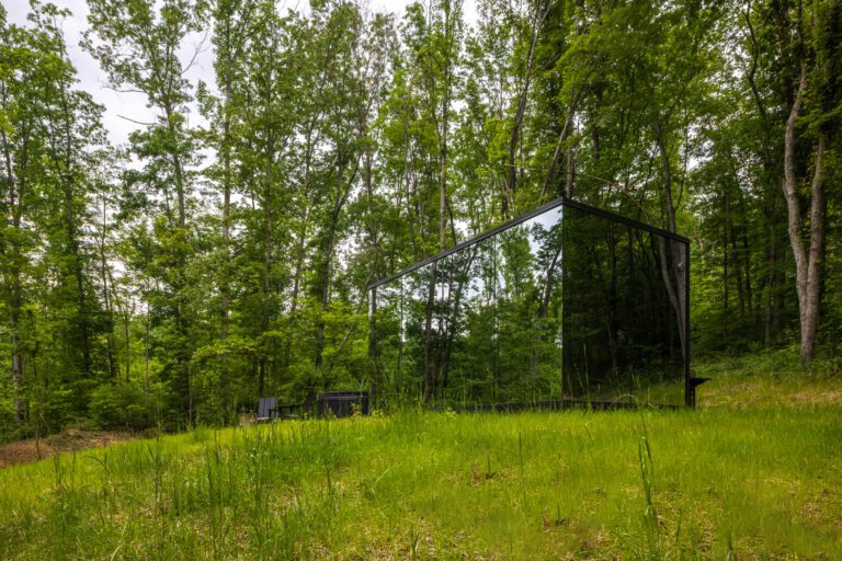 Fauna sits atop a small bluff looking over and into the forest