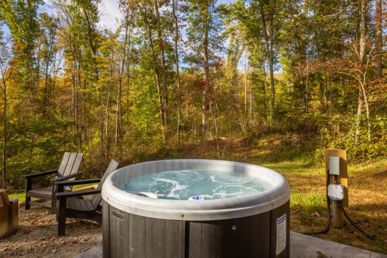 Step into the woods, and suddenly the world hits reset