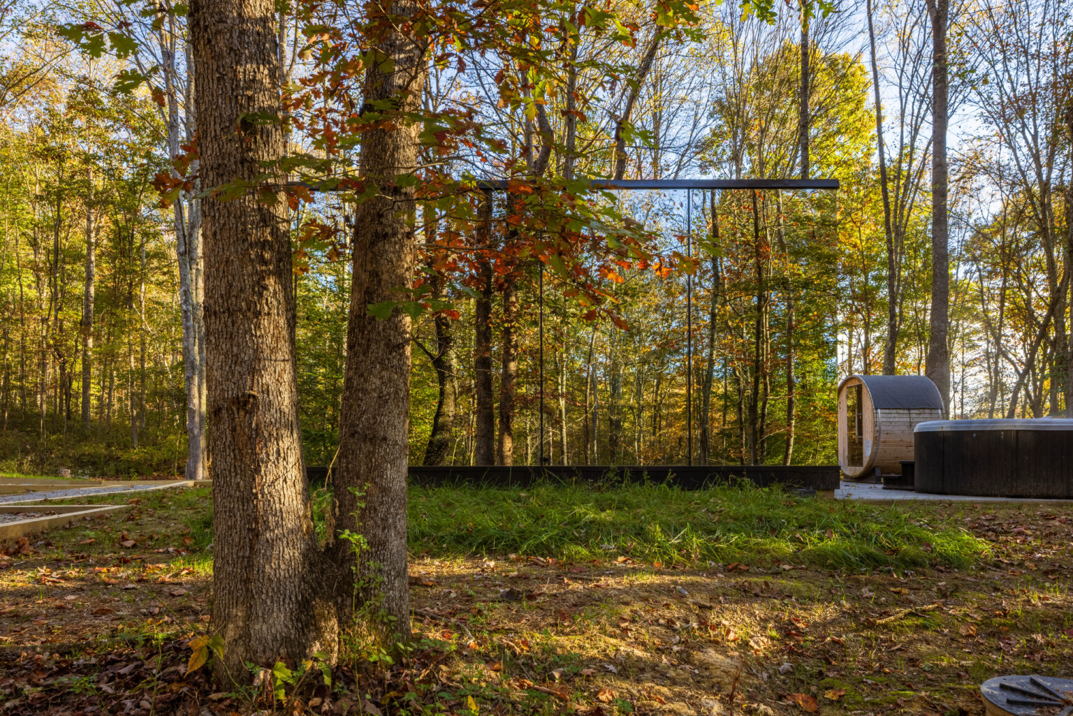 Trade the daily rush for a soft reboot among the trees