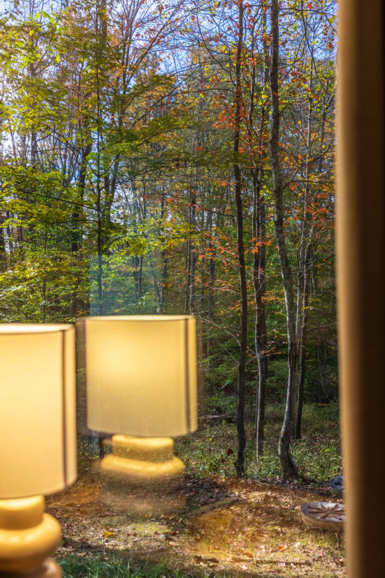 Let the forest rearrange your thoughts until they land just right